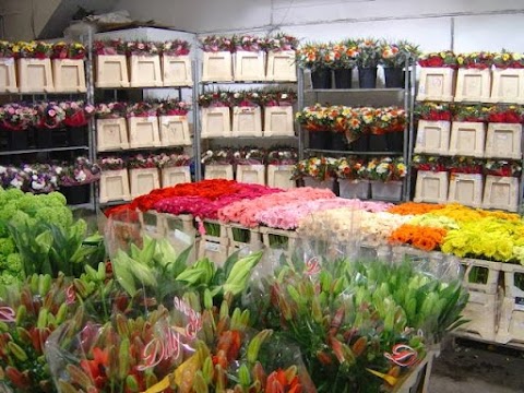 Liverpool Wholesale Flowers Ltd