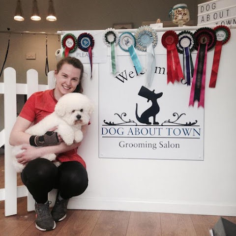 Dog About Town Grooming Salon