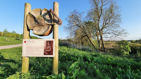 Countess of Chester Country Park