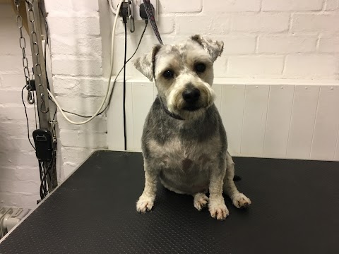 SCALLYWAGS DOG GROOMING STUDIO