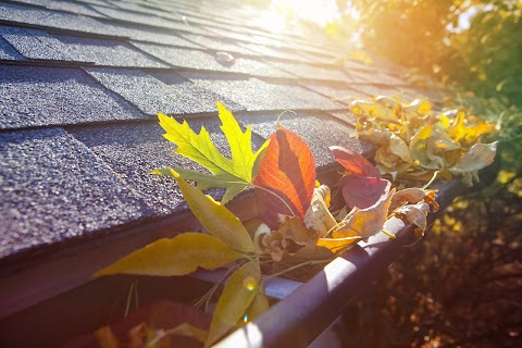 Bright Clean Gutter & Roof Cleaning Services