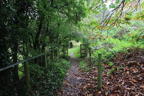 Sandbach Flash SSSi site