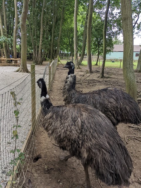 Bridlington Animal Park