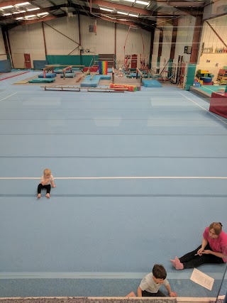 Diamonds Gymnastics Club