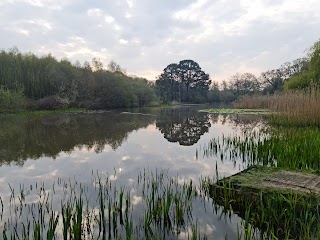 Southampton Common