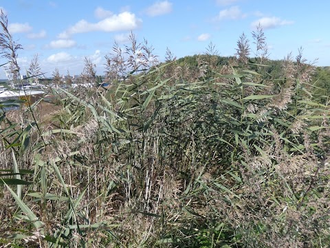 The hill above the lakeside