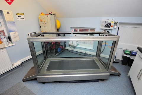 Severn Veterinary Centre and Hydrotherapy Suite