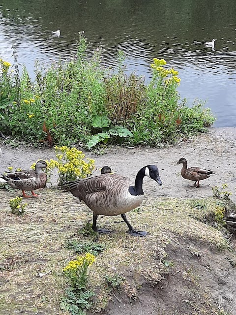 Orrell Water Park