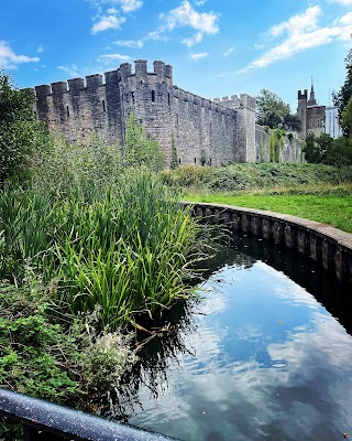 Bute Park