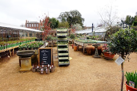 Petersham Nurseries Café, Richmond