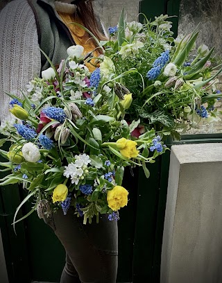 Elisabeth Anderson Flowers