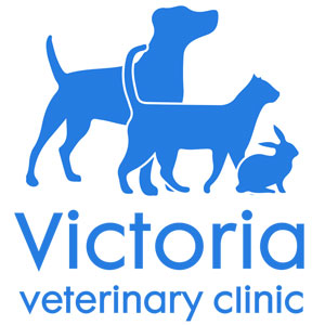 Victoria Veterinary Clinic - Bristol