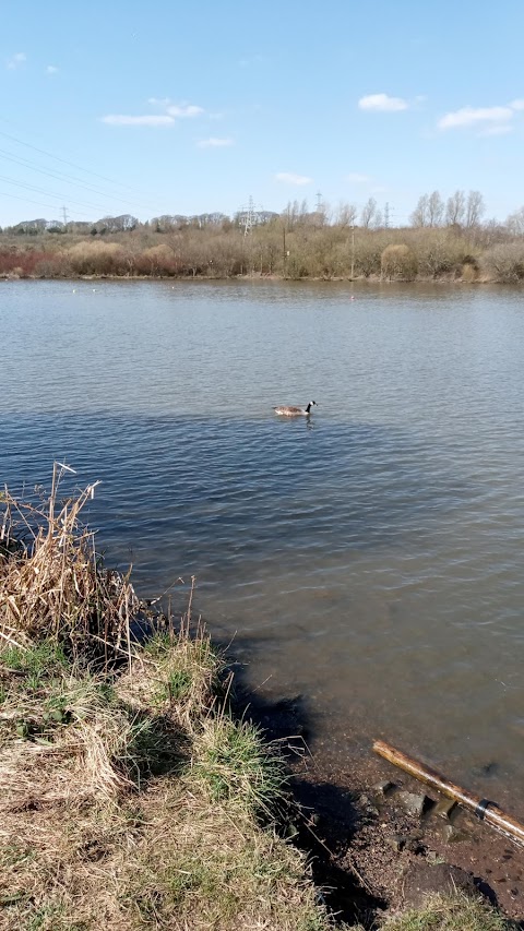 Townhill Country Park