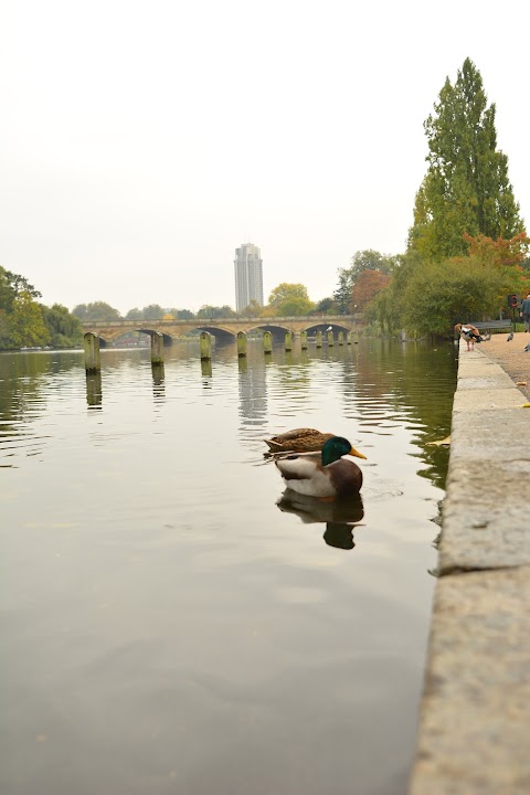 The Albert Memorial