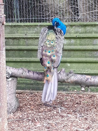 Hartcliffe City Farm