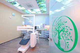 Olive Tree Dental