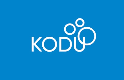 Kodu Home & Business Cleaning Services