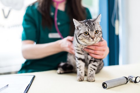 Churchview Veterinary Centre