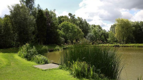 Reepham Fishery & Holiday Accommodation