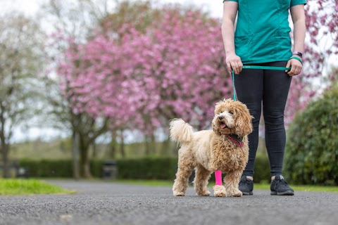 Clare Vet Clinic