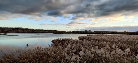 Attenborough Natural Park