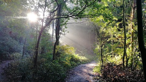 Dibbinsdale Nature Reserve