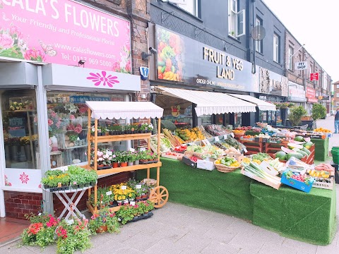 Fruit and Veg Land