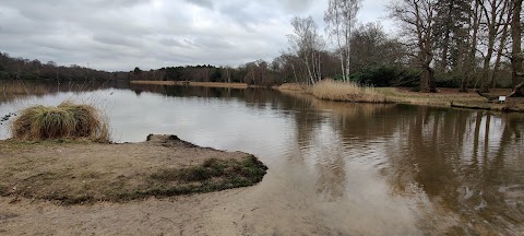 Portnall Park, Virginia Water