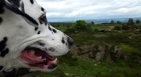 Cullingworth Pooches Playground