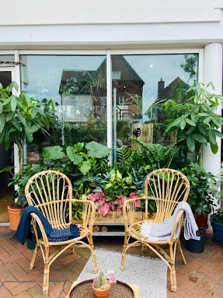 Bohemia House Plants & Coffee Lounge