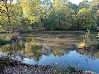 Hiltingbury Lakes