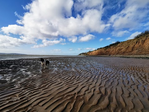 Wirral Country Park Caravan and Motorhome Club Campsite