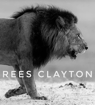 Rees Clayton Solicitors