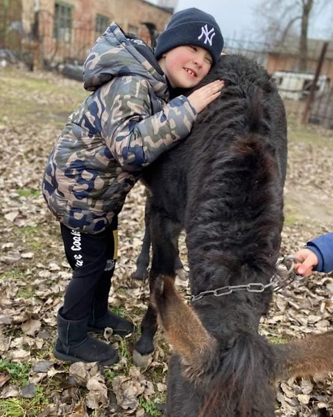 реабілітаційний центр "Клуб любителів коней та інших тварин"