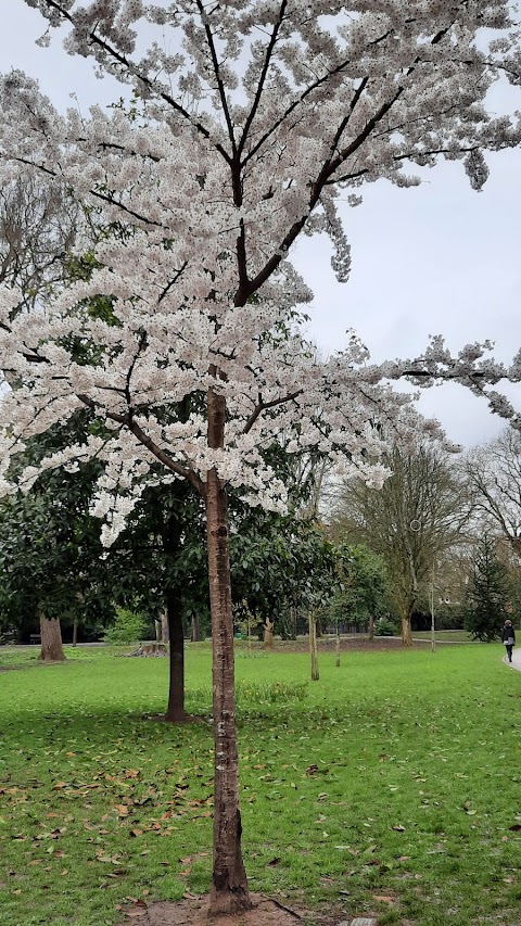 Roath Pleasure Gardens