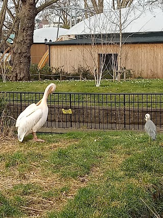 Three Island Pond