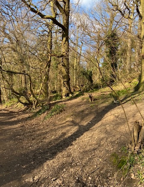 Rivacre Valley Country Park