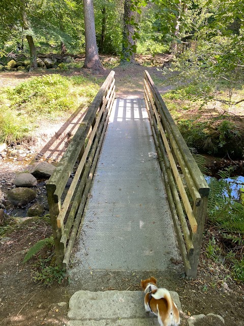 Mourne Park, Woodland Trust