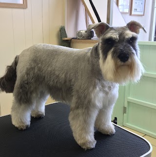 Furry Tails Dog Grooming