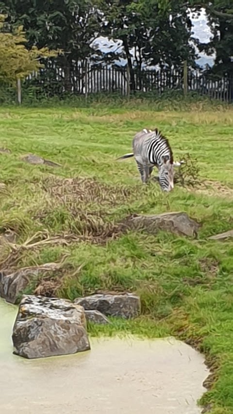 Edinburgh Zoo (Stop 1)