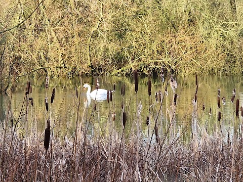 Bird Hide