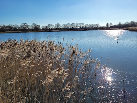 Stanwick Lakes