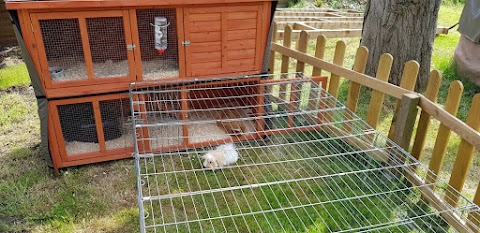 Bebington Boarding for Rabbits and Guinea Pigs