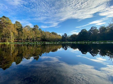 Heath Pool