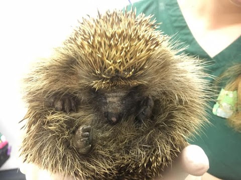 Heywood Veterinary Centre