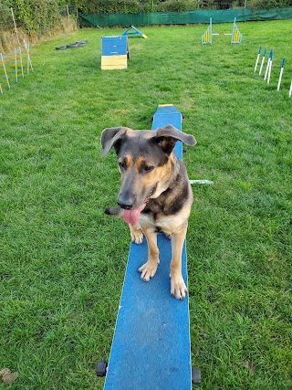 Hounds & Bounds Paws Paddock secure dog field