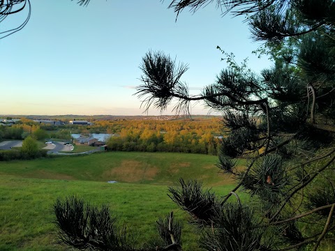 Poolsbrook Country Park Caravan and Motorhome Club Campsite