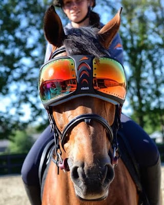 Rookery Equine Emporium