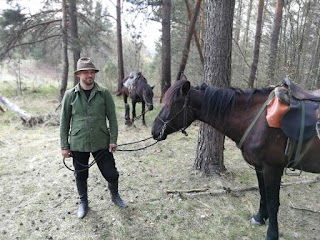 Shenkel - прогулянки на конях поблизу Львова