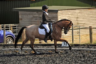 Pachesham Equestrian Centre